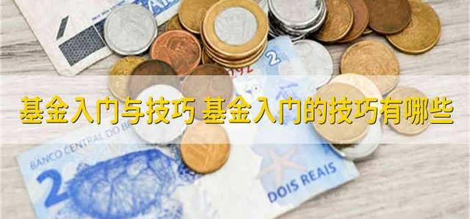 基金入门与技巧