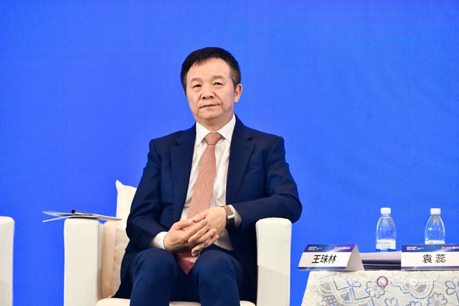 王珠林：发挥资本市场并购重组功能，支持科技创新和产业升级