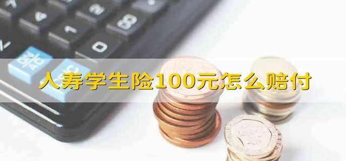 人寿学生险100元怎么赔付