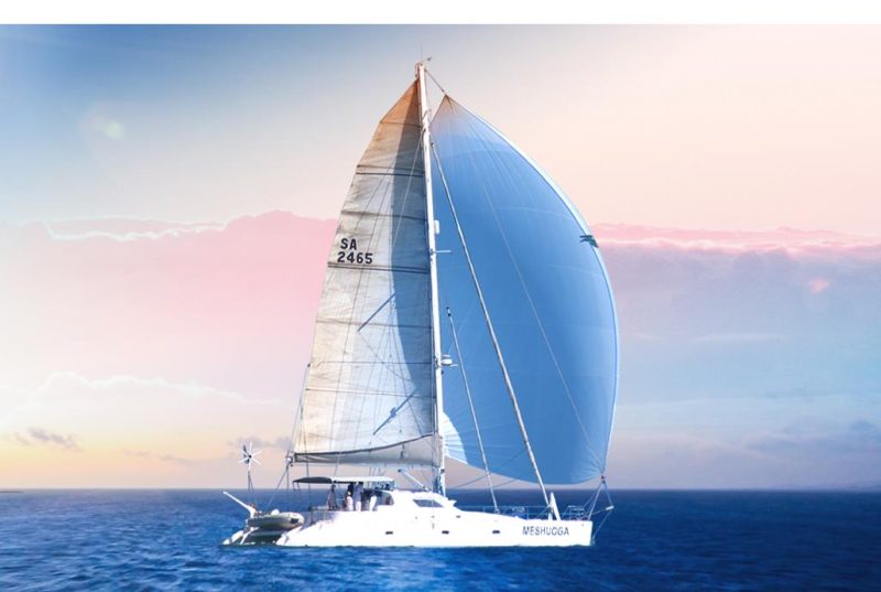 从3.59元到17.14元！市值暴涨4倍的东方精工，机器人业务是真转型还是 “蹭概念”？