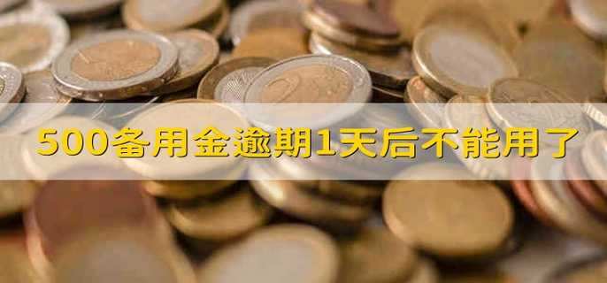 备用金逾期1天失效？揭秘背后的技术逻辑与解决之道