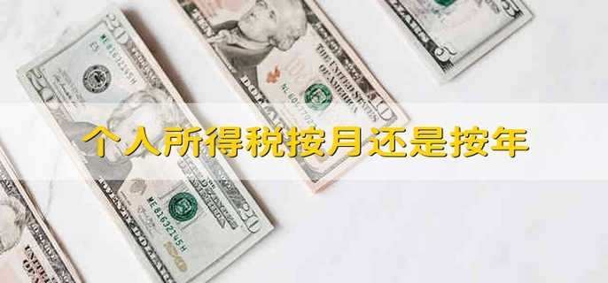 个人所得税：月度与年度计税方式解析