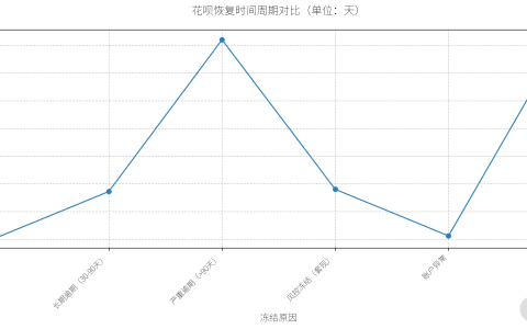花呗无法使用要多久才能恢复？官方政策+实测案例全解析