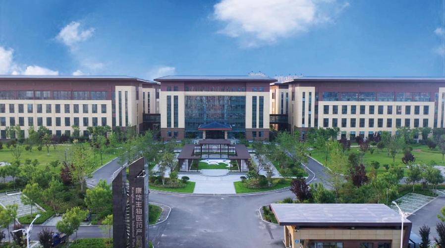 康华股份IPO再遇坎：期后业绩变脸引监管追问，亲属企业关联迷雾待解